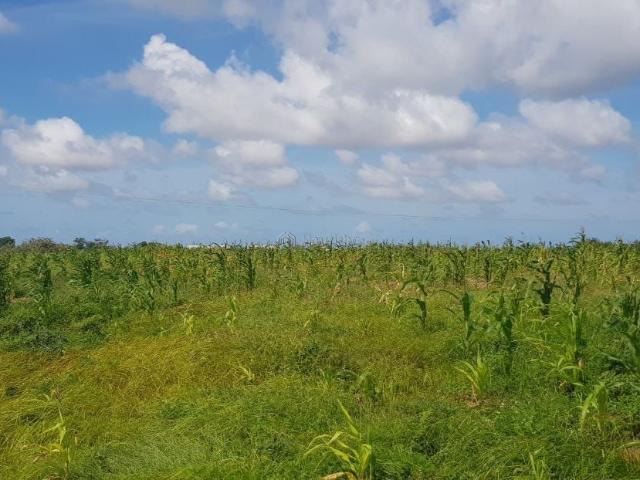 Land for sale in Juja, Kiambu