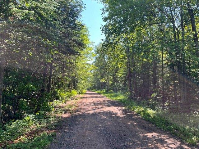 Land for sale in Bayfield, Wisconsin