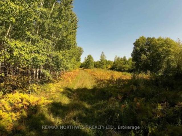 Land for sale in Rainy River, Northwestern Ontario