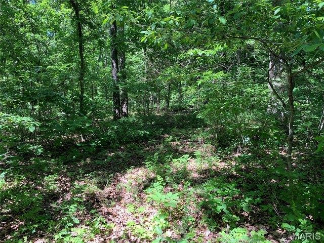 Farm for sale in Saint Mary, Missouri