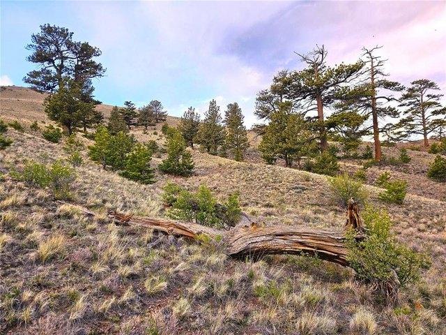 Land for sale in Hartsel, Colorado