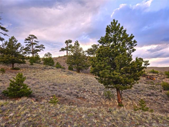 Land for sale in Hartsel, Colorado