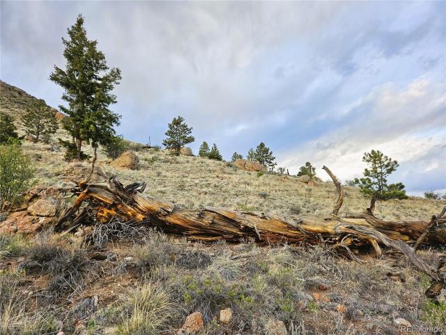 Land for sale in Hartsel, Colorado