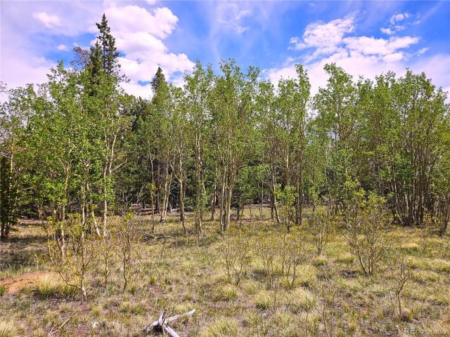 Land for sale in Fairplay, Colorado