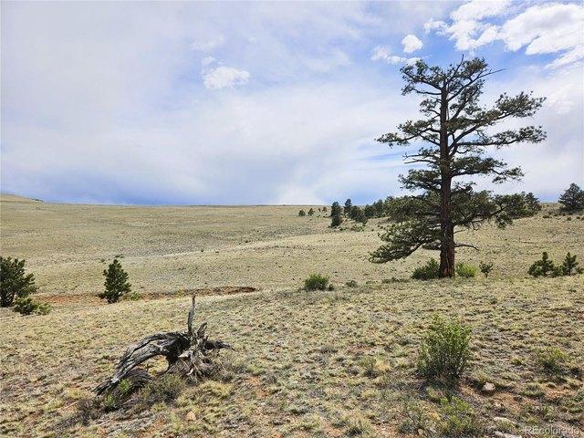 Land for sale in Hartsel, Colorado