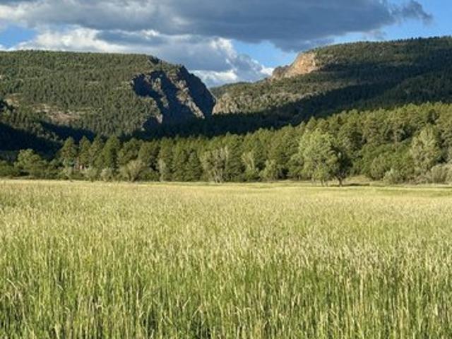 Farm for sale in Chama, New Mexico