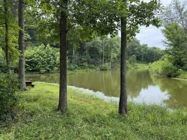 Farm for sale in Mount Olivet, Kentucky