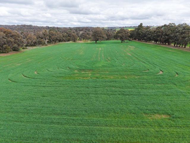Land for sale in Muradup, Western Australia