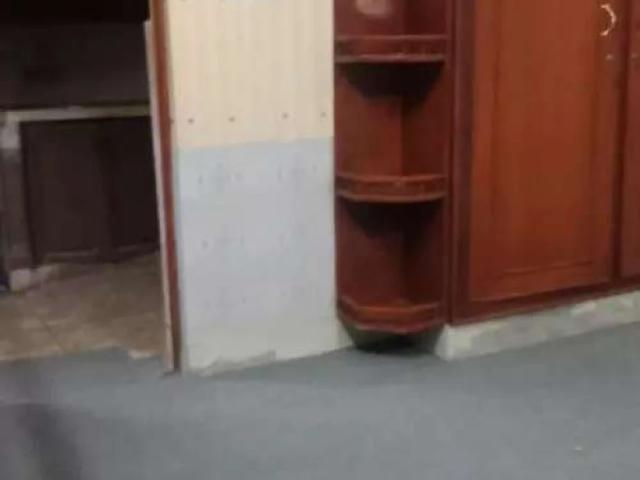 Property for rent in Bahawalpur, Islamabad Capital Territory