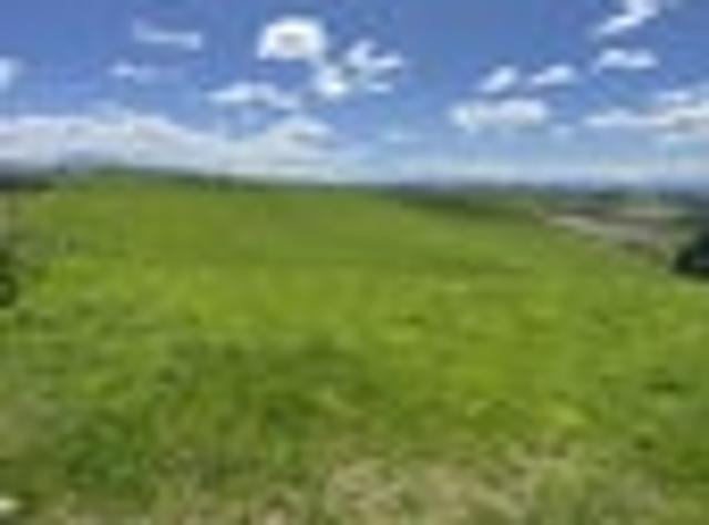 Land for sale in Otakou