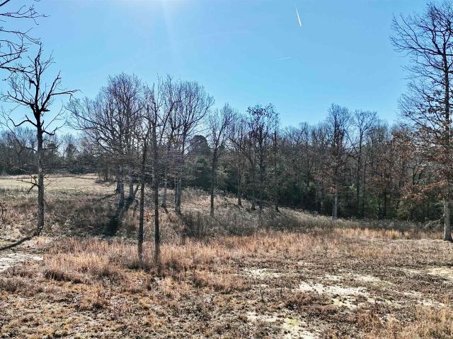 Land for sale in Ark