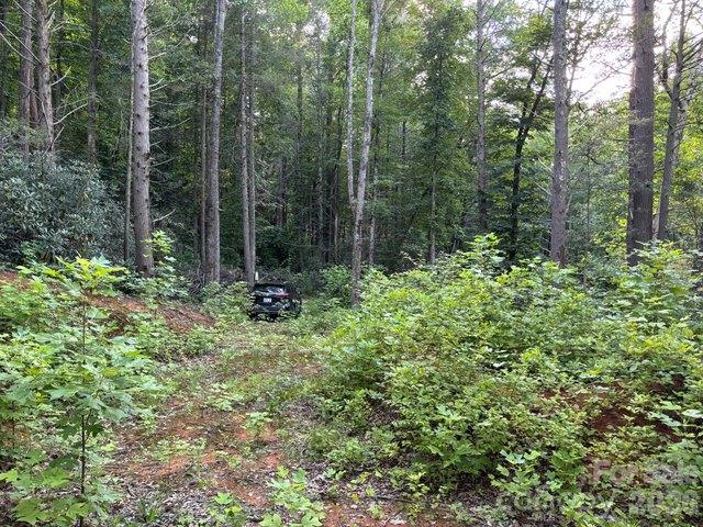 Land for sale in Hendersonville, North Carolina