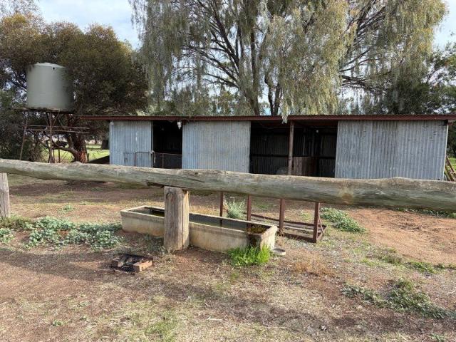 Land for sale in Wakool, New South Wales