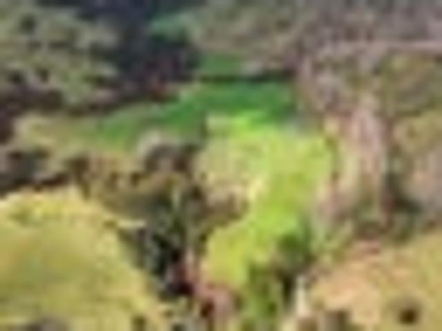 House for sale in Manawatū District, Manawatū-Whanganui