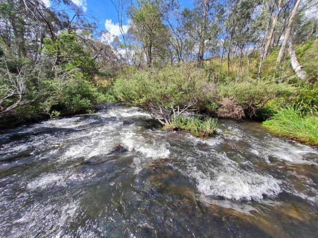 Land for sale in Bonang, Victoria