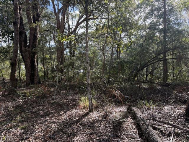 Land for sale in Toombul, Queensland