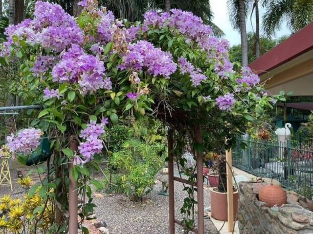 House for sale in Alice River, Queensland