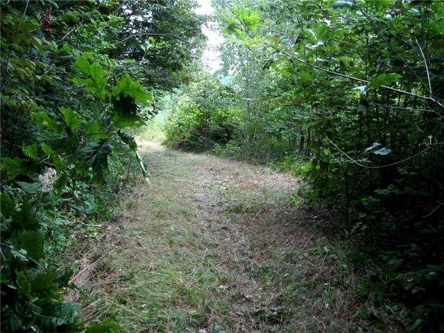 Land for sale in Vermilion, Illinois
