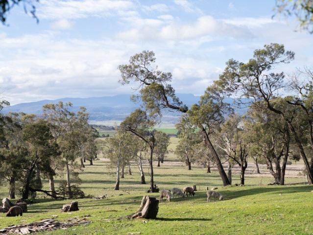 House for sale in Devon Hills, Tasmania