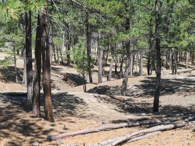 Land for sale in Belle Fourche, Butte County