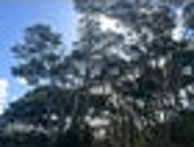 House for sale in Whangaparaoa, Oroua County