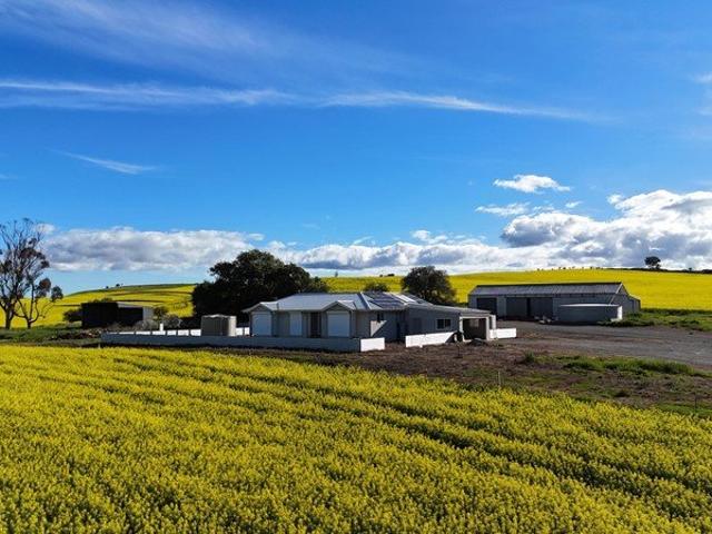 Cottage for sale in Wongyarra, South Australia