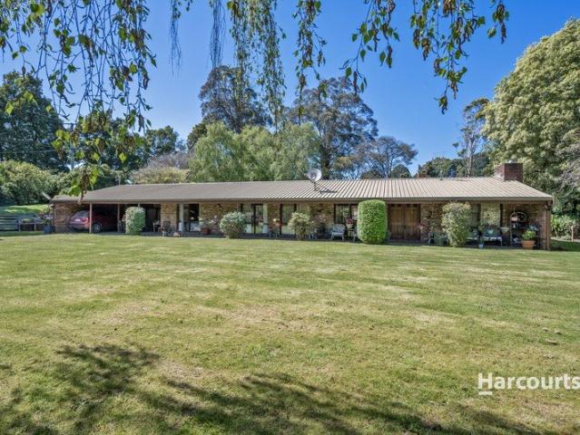 House for sale in South Elliott, Waratah-Wynyard