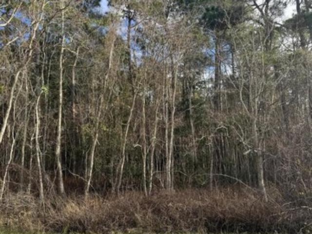Land for sale in Ocean Springs, Mississippi
