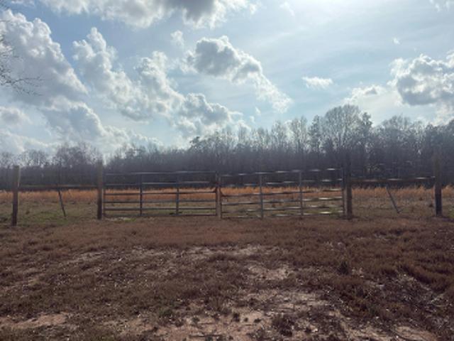 House for sale in Carriere, Mississippi