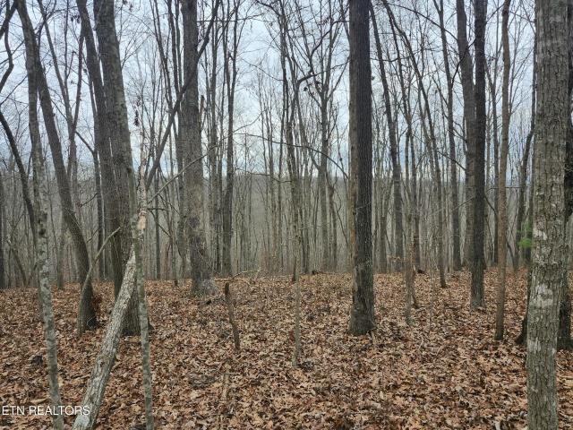 Land for sale in Tennessee
