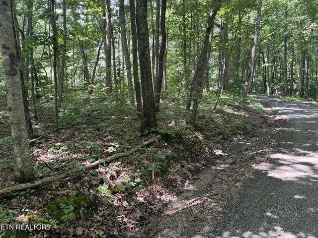 Land for sale in Tennessee