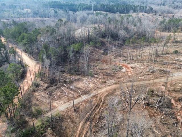 Land for sale in Fulton, Alabama