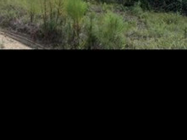 Land for sale in Tennille, Georgia