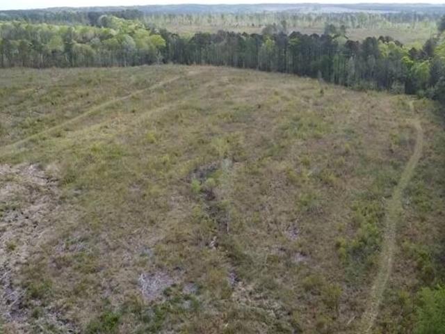 Land for sale in Elgin, South Carolina