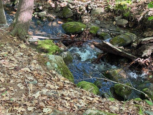 Land for sale in New Hampshire