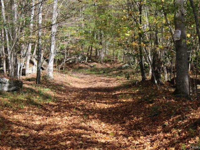 Land for sale in East Branch, New York