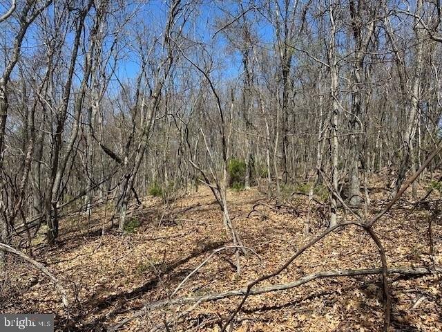 Land for sale in Romney, West Virginia