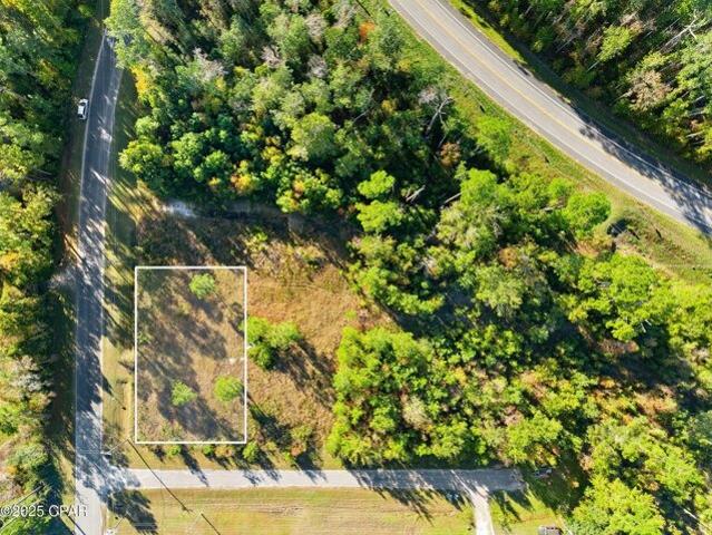 Land for sale in Gulf, Florida