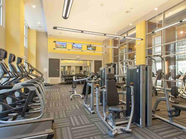 Apartment for rent in Houston, Texas