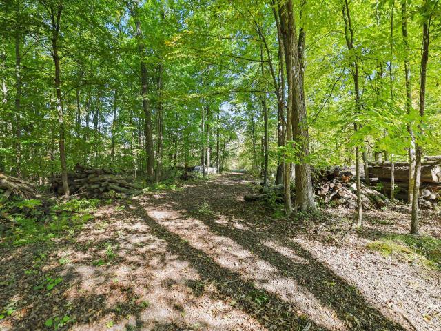 Land for sale in Town of Oneida, Outagamie County