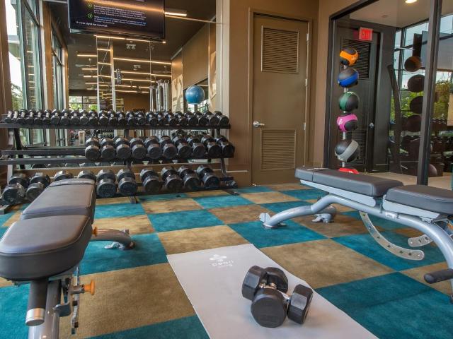 Apartment for rent in Harris, Texas