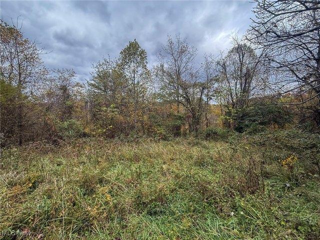 Farm for sale in Albany, Ohio