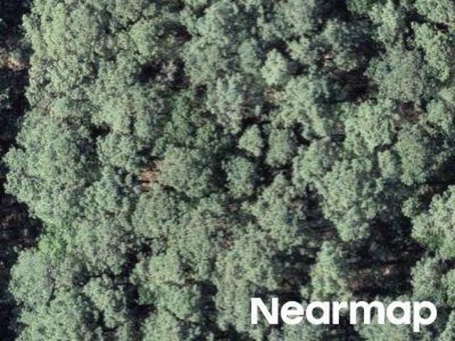 Land for sale in Durham, North Carolina