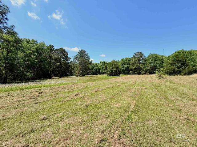Land for sale in Robertsdale, Alabama