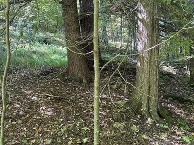 Land for sale in East Branch, New York