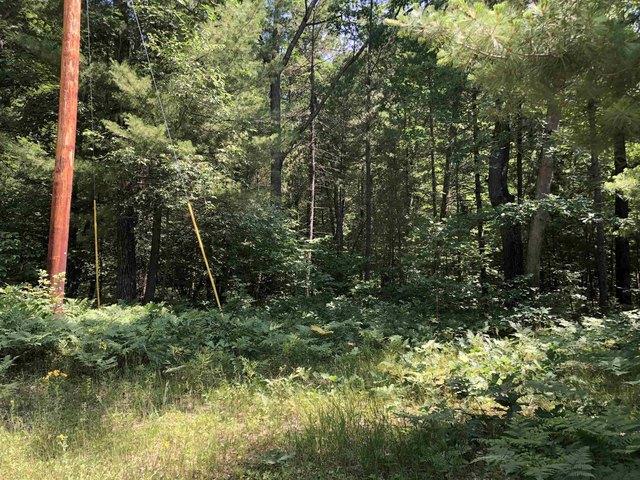 Land for sale in Clare, Michigan