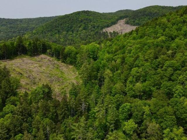 Land for sale in Bethel, Vermont