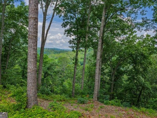 Land for sale in Pickens, Georgia
