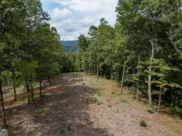 Land for sale in Pickens, Georgia