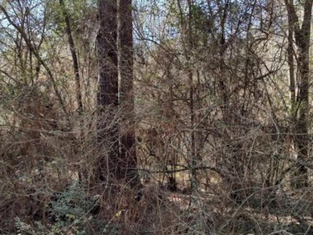 Land for sale in Lumberton, Mississippi